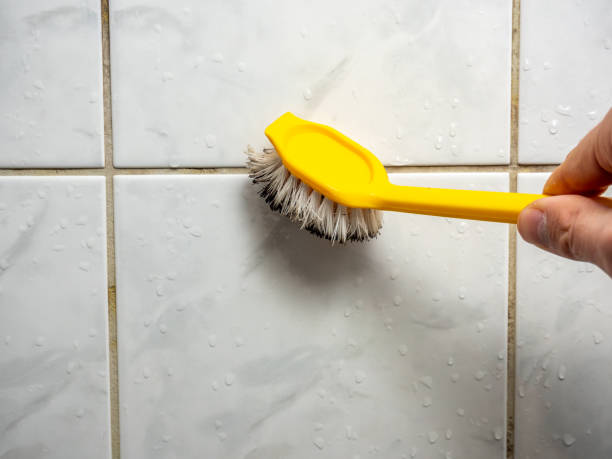 Best Home Mold Removal  in Dallas, NC
